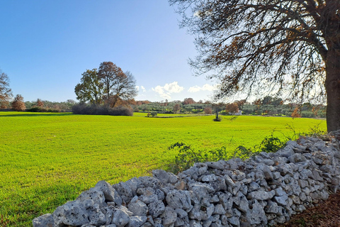 Alberobello: E-Bike Tour to Locorotondo with Ice Cream