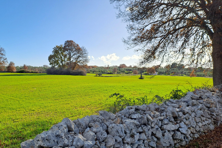 Alberobello: E-Bike-tur till Locorotondo med glass