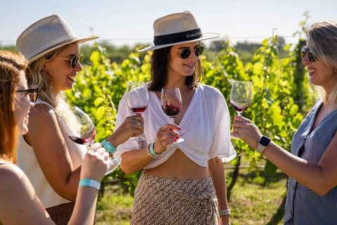 Buenos Aires: Casa Gamboa vingårdstur med lunch och vinBuenos Aires: Rundtur på vingården Casa Gamboa med lunch och vin