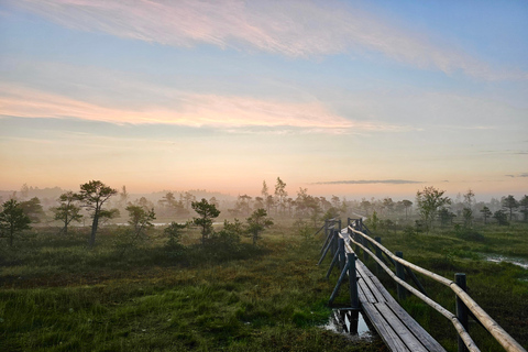 Ķemeri Great Bog With Optional Sunrise & Jūrmala Visit Ķemeri Bog Shared Small Group Tour
