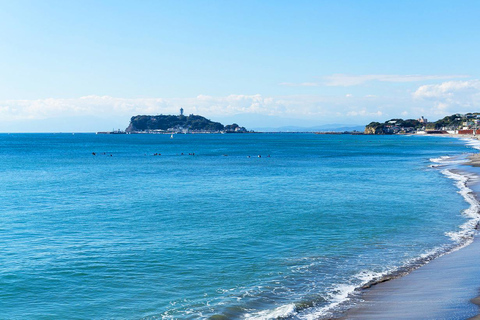 Tour de 1 dia pelo Buda de Kamakura, Enoshima, santuário saindo de TóquioVocê será buscado na estação de Shinjuku às 8h30