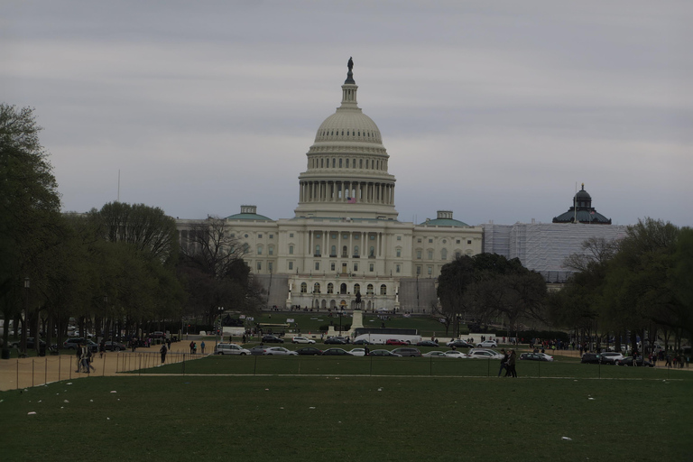 Washington D.C.: Comedy Walks Stand-Up Comedy Show