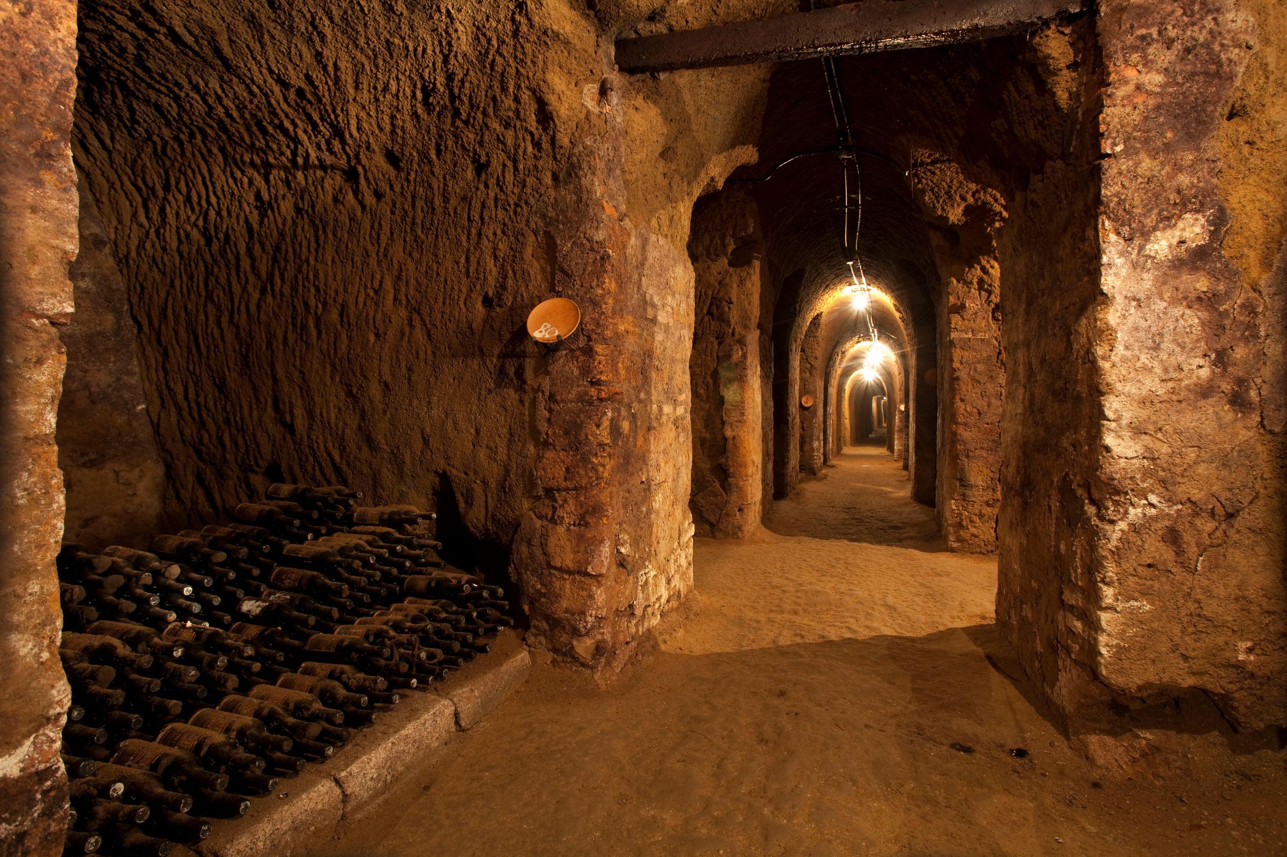 Orvieto: Besichtigung und Weinverkostung auf der Tenuta Le Velette