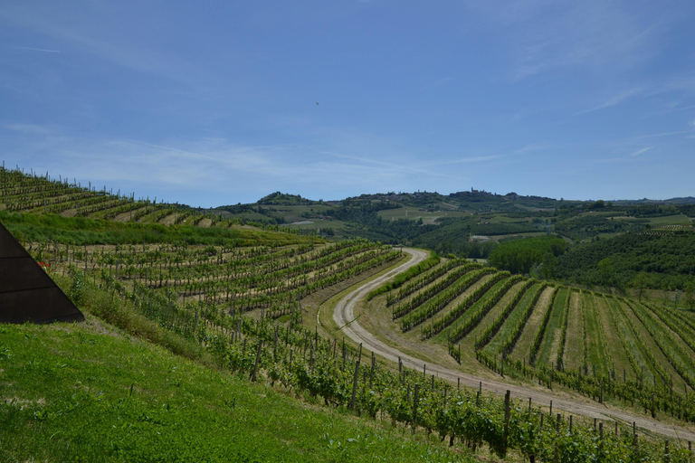 Romanian Wineries Trail Bachelor Weekend: Winery Trails Package