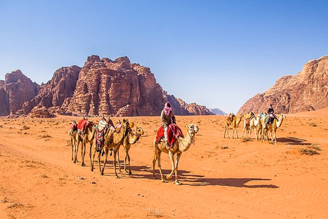 1-Day Petra & Wadi Rum Safari from Amman