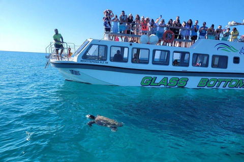 Unique Cruise to Shipwreck beach and local blue caves Unique Cruise to Shipwreck beach with transfer