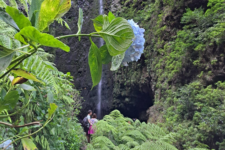 Queimadas Caldeirão Verde Walking tour with guide