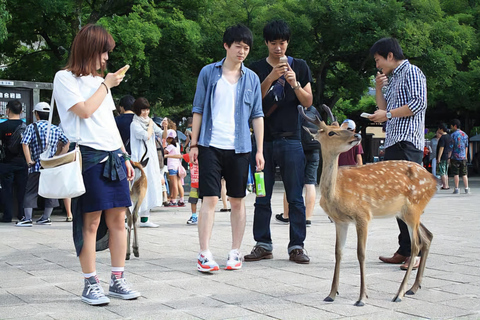 Hiroshima: Private Hiroshima & Miyajima Day Trip with Car