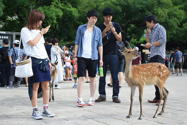 Hiroshima: Private Hiroshima & Miyajima Day Trip with Car