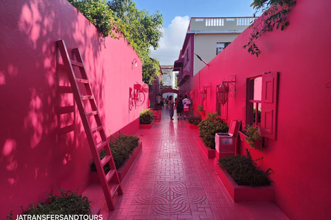 Puerto Plata: Panoramic Tours, Butterfly Garden, Countryside Views