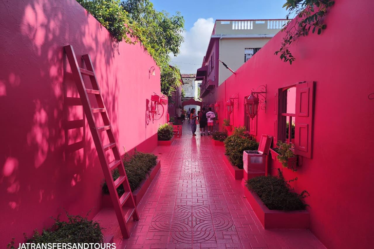 Puerto Plata: Panoramic Tours, Butterfly Garden, Countryside Views