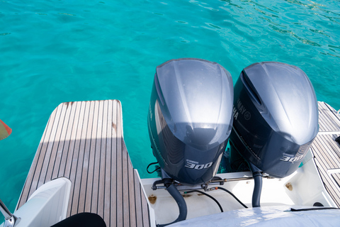 PALMA: Speedboat Tour with snorkeling and Snacks