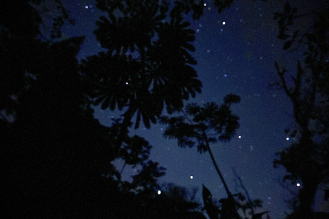 Monteverde: Night Tour with Night Vision Goggles