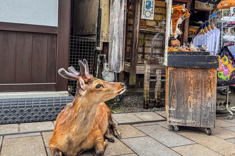 From Tokyo: Super Express One-Day Trip to Kyoto and Nara