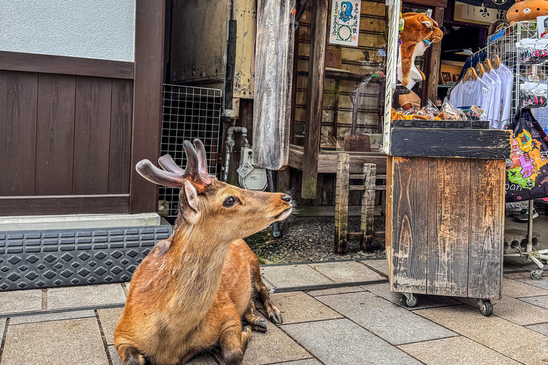 From Tokyo: Super Express One-Day Trip to Kyoto and Nara