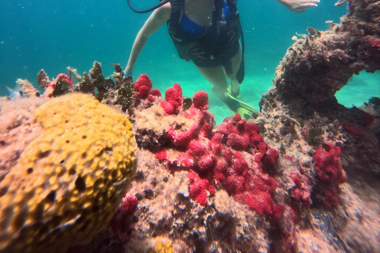 Djerba: First Scuba Diving Experience with Instructor