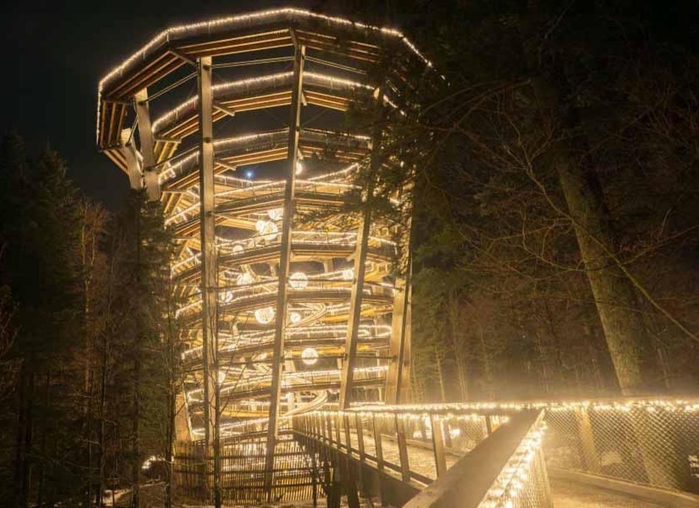 Schwarzwald: Treetop Walk & Lookout Tower Experience