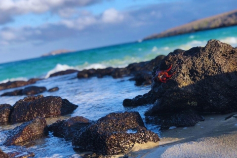 Sustainability and conservation: Tortuga Bay in Galapagos