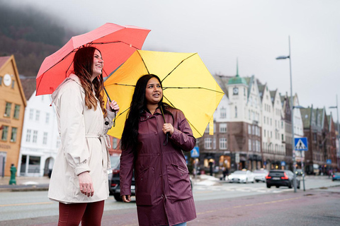 Bergen: Guided Private Shore Excursion