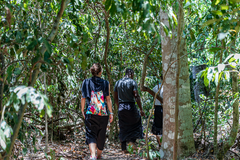 Exploring Nature's Treasures: A Private Day Trip in Diani Exploring Nature's Treasures: A Day Trip in Diani