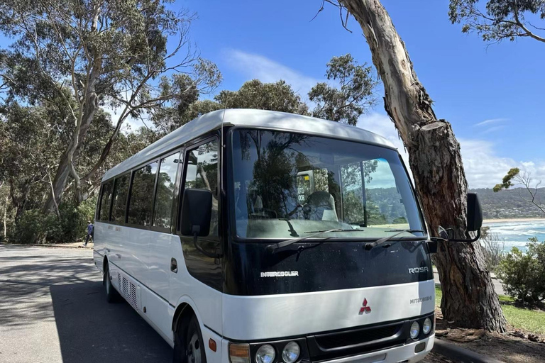 Melbourne : Circuit d&#039;une journée sur la Great Ocean Road avec les lieux emblématiques