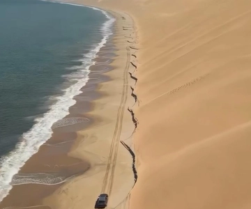 Doha: Inland Sea Tour, Desert Safari/Camel, All Activities