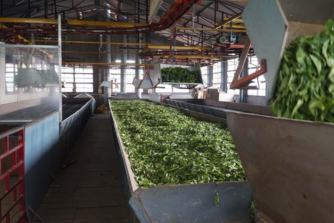 From Kochi:- 02 Days Munnar Hill Station & Nature Walk Tour 02 Days Munnar and Nature Walk Tour with 05- Star Hotel