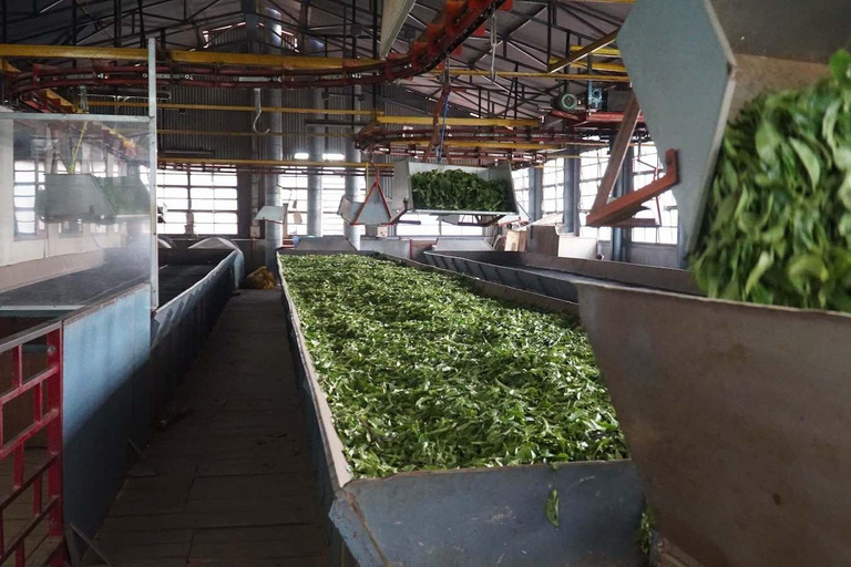 From Kochi:- 02 Days Munnar Hill Station & Nature Walk Tour 02 Days Munnar and Nature Walk Tour with 05- Star Hotel