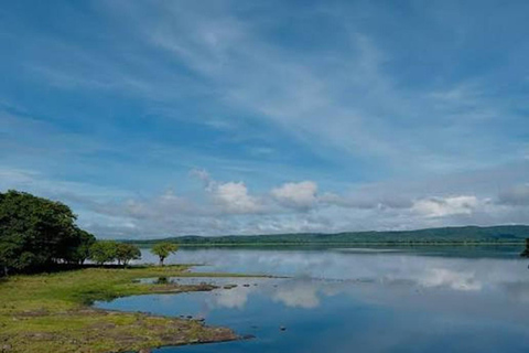 From Trincomalee: Anuradhapura Guided Heritage Tour