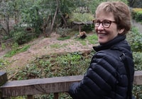 Chengde Panda Base e San Xingmuseum Private Tour - Housity