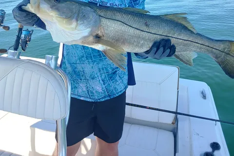 Sarasota Florida: Skyway Fishing Tours