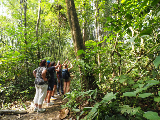 From Khao Lak : Half-Day Hike in Khao Sok