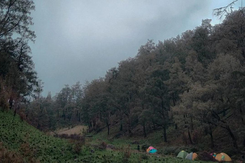 Yogyakarta: Mount Lawu 3-Day Trekking and Camping Tour
