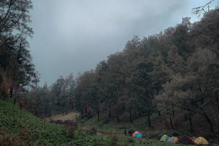 Yogyakarta: Mount Lawu 3-Day Trekking and Camping Tour