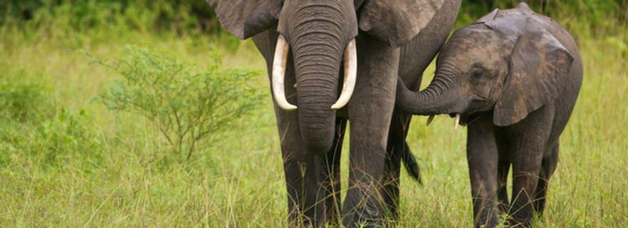 Au départ de Durban : 2 jours d'excursion à Sani Pass et dans la réserve de Tala