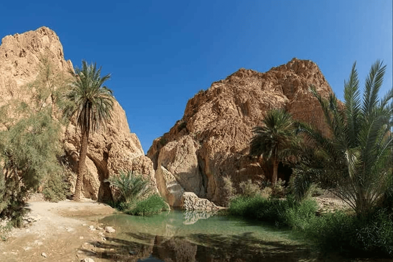 From Tunis: 10-Day Private Tunisia Adventure Tour