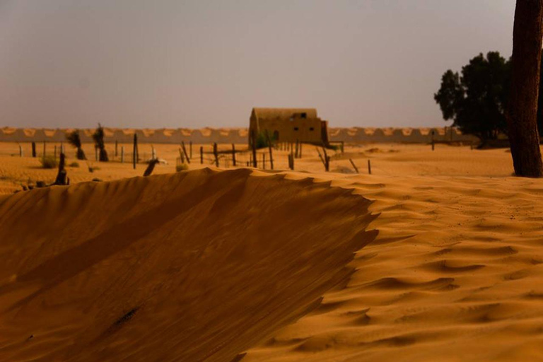 Visite à la journée du désert de Ksar Ghilane et Ksar Jouamaa