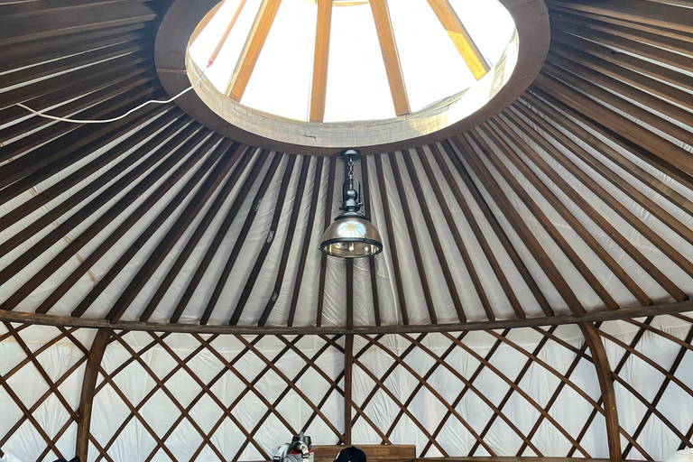Terelj: Premium Mongolian Ger (Yurt) Overnight Experience Chinggis Khaan Statue + Ger