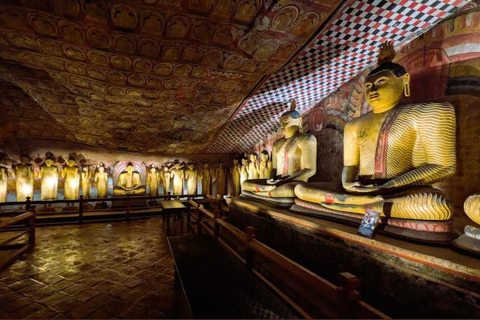 From Dambulla: Cave Temple & Kaudulla National Park Safari