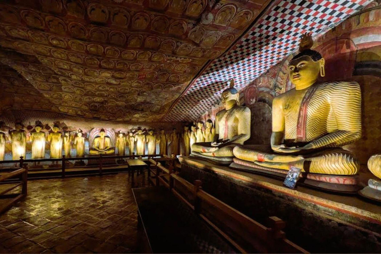 From Dambulla: Cave Temple & Kaudulla National Park Safari