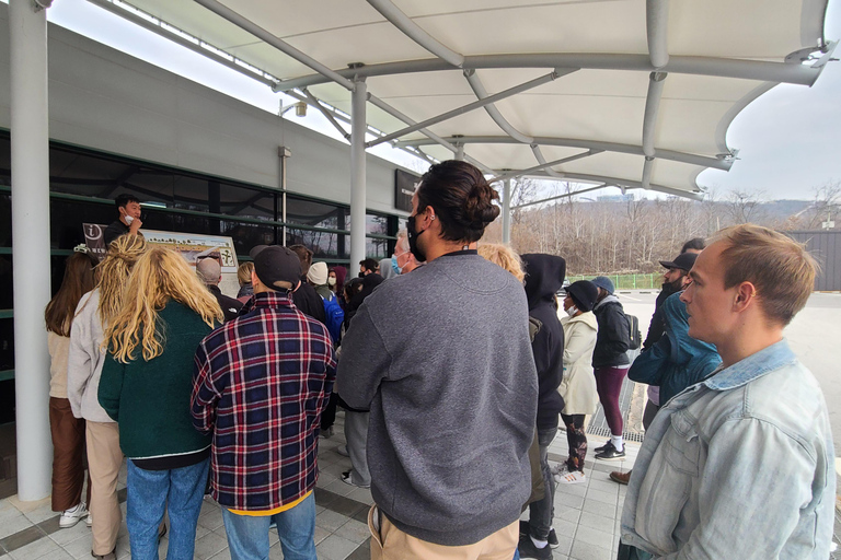 Premium DMZ Small-Group Tour with North Korean Defector Q&A Premium DMZ Small-Group from Myeongdong