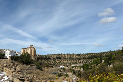 ab Mijas: Tour privato Ronda e Setenil de las Bodegas