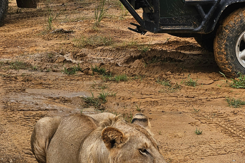 Safari 3-Days from Zanzibar to Mikumi National Park by ferry Come to meeting point "Dar es Salaam SGR station"