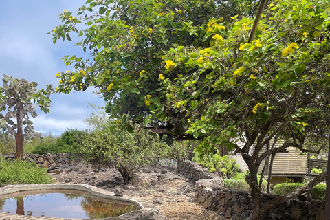 San Cristóbal Island: Highlands Tour with Tortoises
