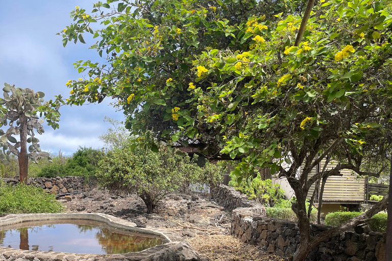 San Cristóbal Island: Highlands Tour with Tortoises