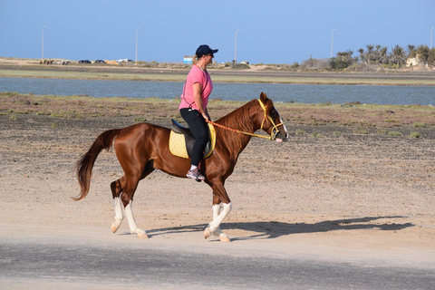 Horseback ride: Village and Blue Lagoon Horseback riding: Village and Blue Lagoon