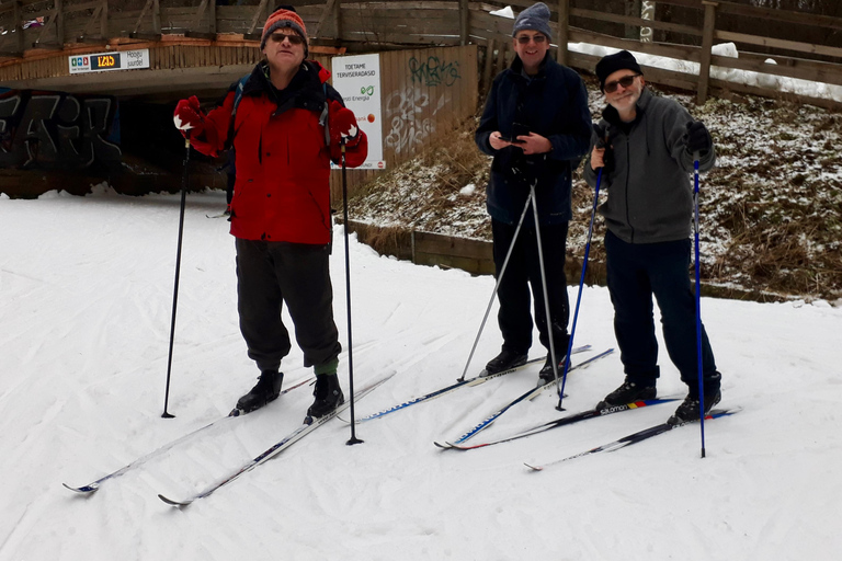 Tallinn: Cross-Country Skiing Experience