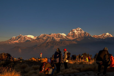 2N/3D Ghorepani-Poonhill-Ghandruk (GPG) Wandertour