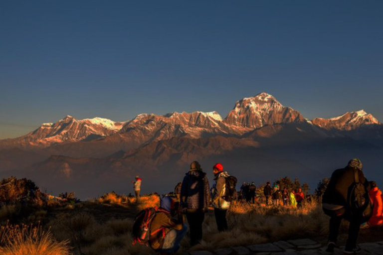 2N/3D Ghorepani-Poonhill-Ghandruk (GPG) Wandertour