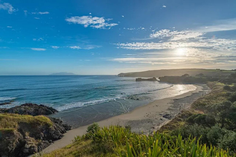 From Auckland: Kiwi Wilderness Experience Guided Tour